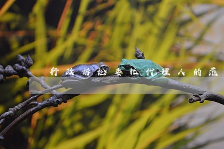 行政诉讼委托代理人的范围 行政诉讼委托代理人的范围