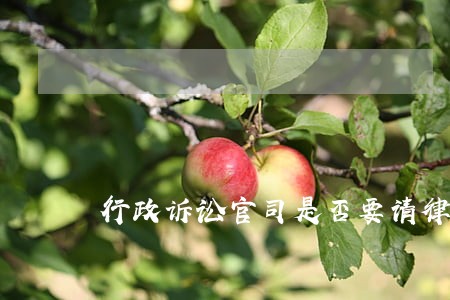 行政诉讼官司是否要请律师 行政诉讼官司是否要请律师