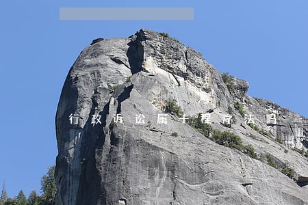 行政诉讼属于程序法吗 行政诉讼属于程序法吗