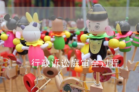行政诉讼庭审全过程