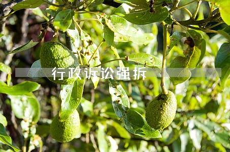 行政诉讼强拆