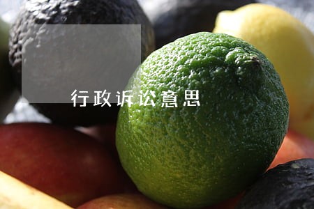 行政诉讼意思 行政诉讼意思