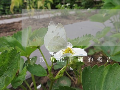 行政诉讼明确的被告