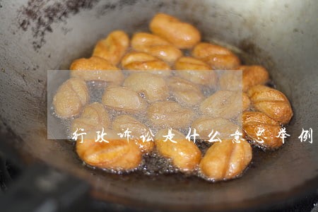 行政诉讼是什么意思举例说明