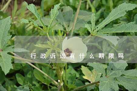 行政诉讼有什么期限吗 行政诉讼有什么期限吗