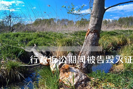 行政诉讼期间被告毁灭证据 行政诉讼期间被告毁灭证据