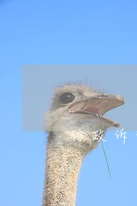 行政诉讼未写明具体行政行为 行政诉讼未写明具体行政行为