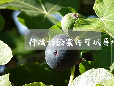 行政诉讼案件可以异地管辖吗