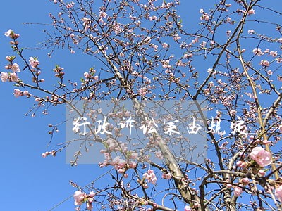 行政诉讼案由规定 行政诉讼案由规定