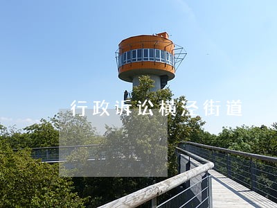 行政诉讼横泾街道