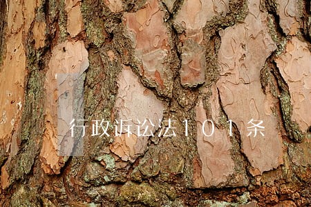 行政诉讼法101条 行政诉讼法101条