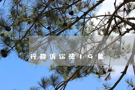 行政诉讼法19条