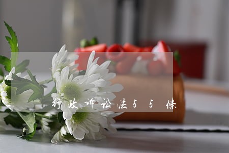 行政诉讼法55条