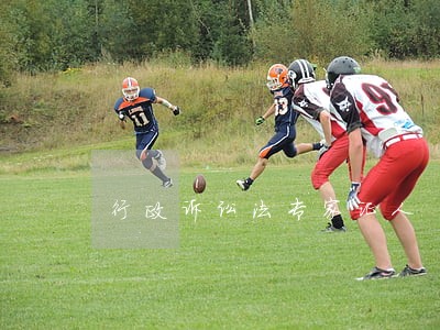 行政诉讼法专家证人 行政诉讼法专家证人