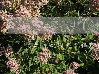 行政诉讼法关于程序轻微违法 行政诉讼法关于程序轻微违法