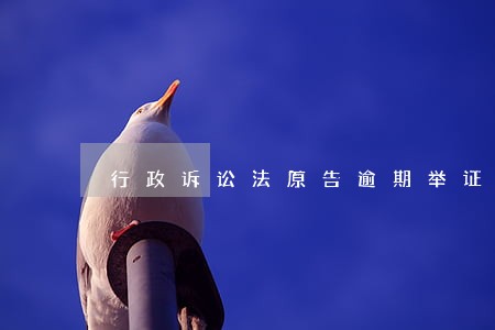 行政诉讼法原告逾期举证后果 行政诉讼法原告逾期举证后果
