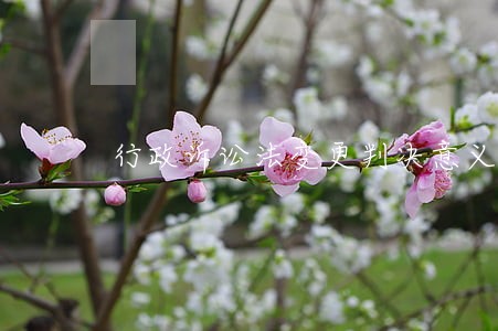 行政诉讼法变更判决意义 行政诉讼法变更判决意义