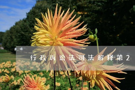 行政诉讼法司法解释第24条 行政诉讼法司法解释第24条