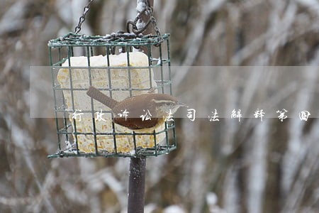 行政诉讼法司法解释第四十四条