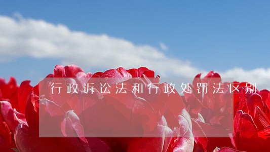行政诉讼法和行政处罚法区别 行政诉讼法和行政处罚法区别