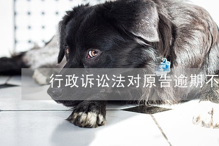 行政诉讼法对原告逾期不举证 行政诉讼法对原告逾期不举证