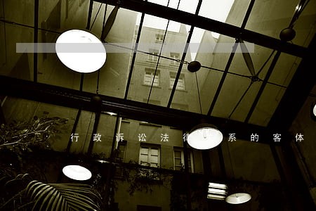 行政诉讼法律关系的客体 行政诉讼法律关系的客体