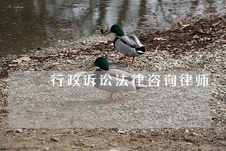 行政诉讼法律咨询律师 行政诉讼法律咨询律师