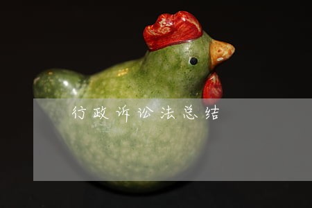 行政诉讼法总结