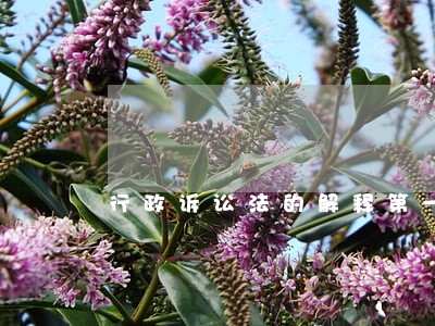 行政诉讼法的解释第一百一十六条 行政诉讼法的解释第一百一十六条