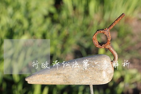 行政诉讼法第六条解析 行政诉讼法第六条解析