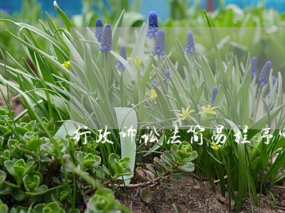 行政诉讼法简易程序审理期限