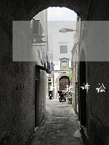 行政诉讼法规定的专属管辖的