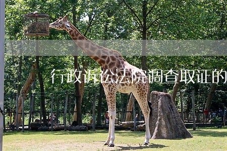 行政诉讼法院调查取证的规定 行政诉讼法院调查取证的规定