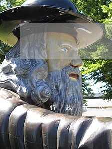 行政诉讼法院调解
