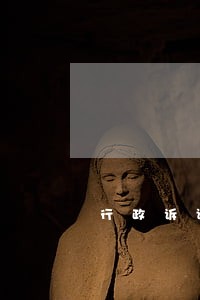 行政诉讼涉及民事问题一并审理