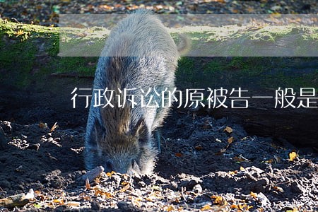 行政诉讼的原被告一般是什么 行政诉讼的原被告一般是什么
