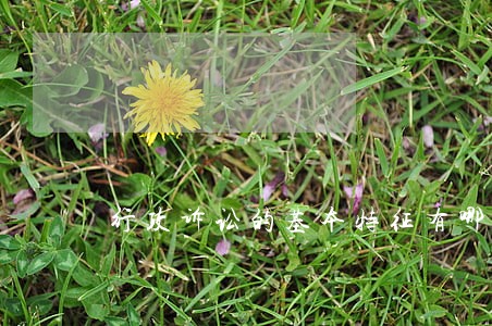 行政诉讼的基本特征有哪些 行政诉讼的基本特征有哪些