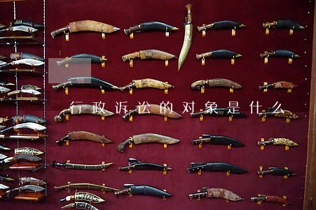 行政诉讼的对象是什么 行政诉讼的对象是什么