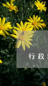 行政诉讼的目的与功能包括