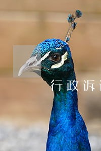 行政诉讼监督逾期审理案例