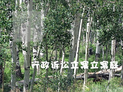 行政诉讼立案立案庭 行政诉讼立案立案庭