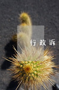 行政诉讼第三人提出主张