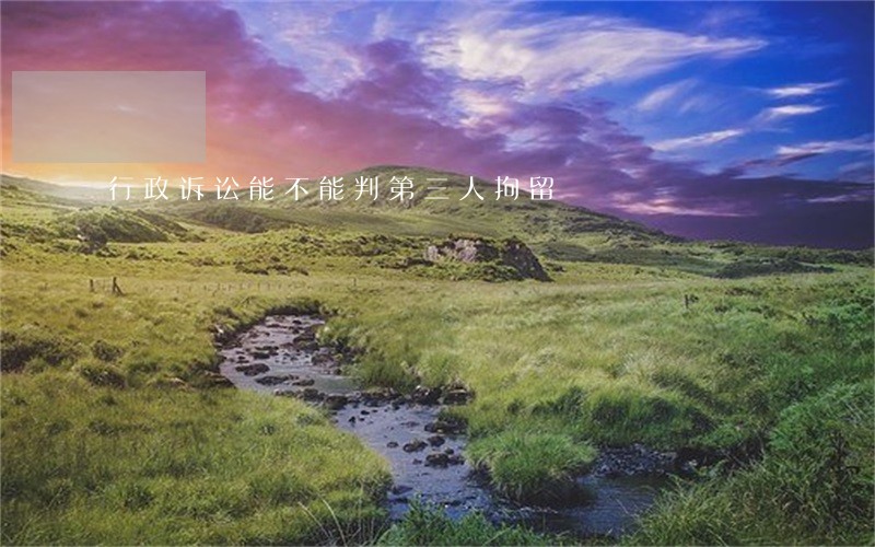 行政诉讼能不能判第三人拘留