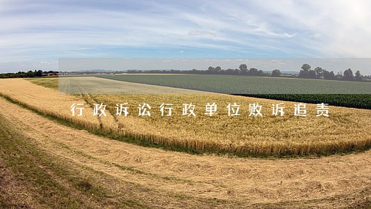 行政诉讼行政单位败诉追责 行政诉讼行政单位败诉追责