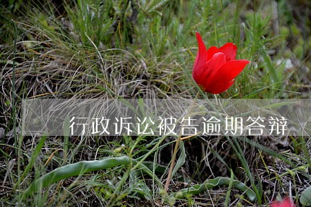 行政诉讼被告逾期答辩