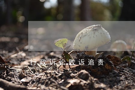 行政诉讼败诉追责 行政诉讼败诉追责