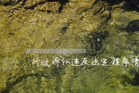 行政诉讼违反法定程序情形 行政诉讼违反法定程序情形