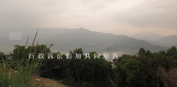 行政诉讼追加共同原告 行政诉讼追加共同原告