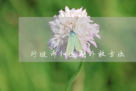 行政诉讼逾期补救方法 行政诉讼逾期补救方法