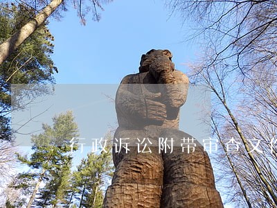 行政诉讼附带审查文件范围